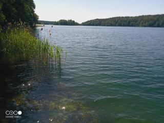 Sosnowy Raj - domki na Mazurach - 1