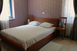Apartment Dandelion - Branik - 1