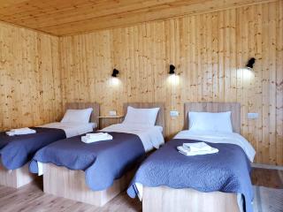 Cozy apartament - Kazbegi - 5