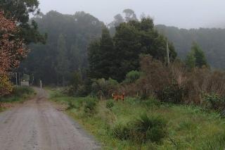 Entre Sierras - Tandil - 6