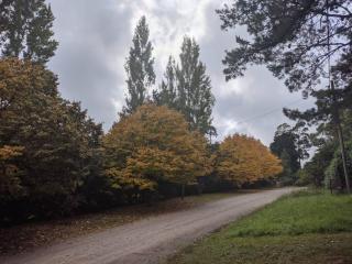 Entre Sierras - Tandil - 4