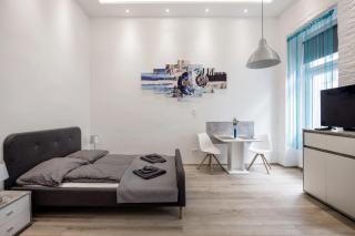 Elegant Studio in Central Budapest - Budapest - 9