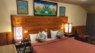 Auspiscious Him View Hotel - McLeod Ganj - 6