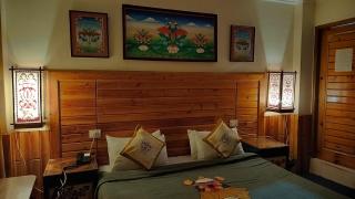 Auspiscious Him View Hotel - McLeod Ganj - 7