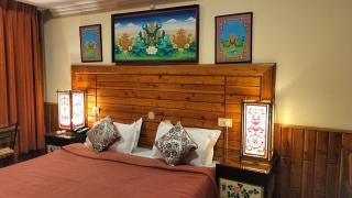 Auspiscious Him View Hotel - McLeod Ganj - 2