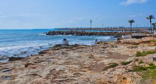 Cozy flat near the sea - Torrevieja - 7