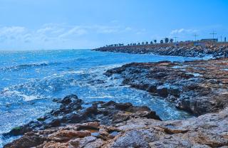 Cozy flat near the sea - Torrevieja - 6