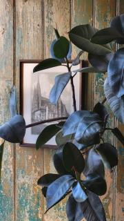 Apartament Obrońców Pokoju 6 - 5