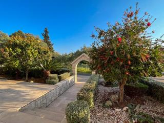 Apartmani Botica - 9