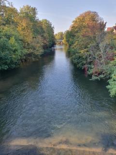 Les berges du moulin - Ensisheim - 5