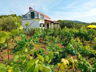 Cottage the Quiet - Vela Luka - 0