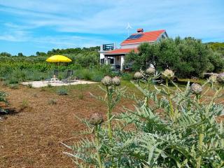 Cottage the Quiet - Vela Luka - 6