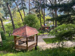 Мансарда с верандой - Borjomi - 2