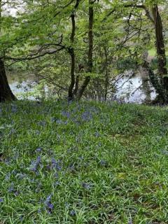 Charming picturesque cottage - nr Tenterden & Rye, pets welcomed - 3