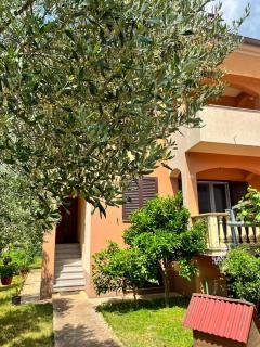 Spacious apartment with free parking and garden in calm area - Zadar - 7