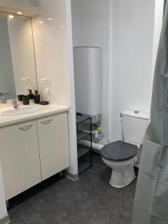 Appart'Hotel - Gare TGV - Courtine - Confluence - 407 - 6