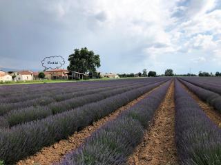 Les vieilles pierres drômoises - Alixan - 9