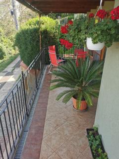 Green Apple Guesthouse - Leányfalu - 9