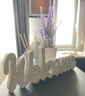 Q Room Apartment - Palas Center - Iaşi - 7