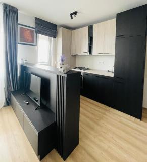 Q Room Apartment - Palas Center - Iaşi - 9