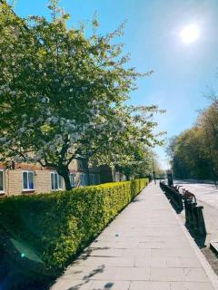 Bright &Spacious One Bedroom Flat off Canary Wharf - London - 4