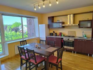 Spacious & Cozy Apartment with Forest View - Zapyškis - 8