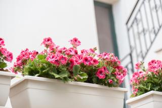 B&B Il Cortiletto - 6