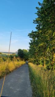 Ferienwohnung Despetal - 9