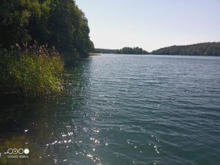 Sosnowy Raj - domki na Mazurach - 6