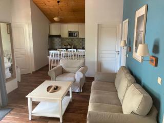 Chalet rénové, environnement très calme, piscines intérieure et extérieure chauffées, Bord du lac de Biscarosse Parentis - Parentis-en-Born - 8