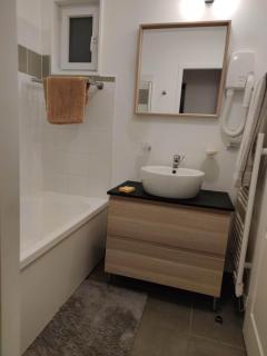 Chalet rénové, environnement très calme, piscines intérieure et extérieure chauffées, Bord du lac de Biscarosse Parentis - 3