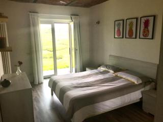 Le Aromatiche, appartamento in cascina con giardino - Castagnito - 4