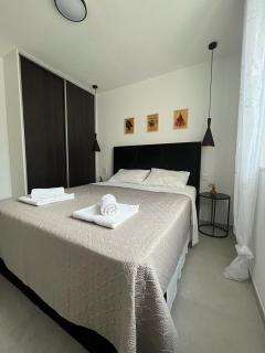 Haus Dalmatia with heated Pool - Bibinje - 5