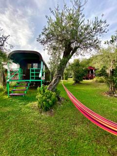 Azienda agricola Della Mezzaluna - Stiava - 4
