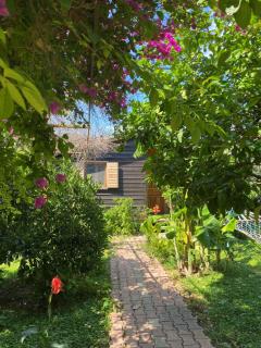 Lemon Garden Lodge - Çıralı - 7