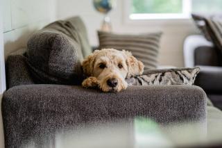 Chalet Memphrémagog Ski Spa, Étang - 2