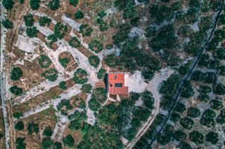Green house - Dograde - 7