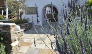 Ursa Major Suites - Città di Tinos - 7