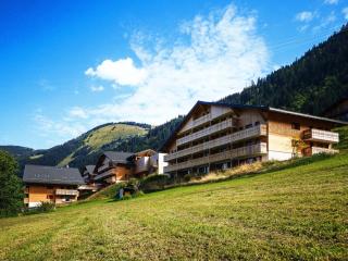 Résidence Néméa Le Grand Lodge - Châtel - 2