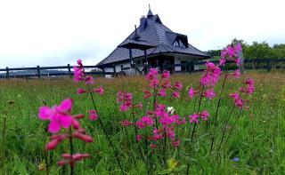 Casa Mila Zlatibor - Zlatibor - 8