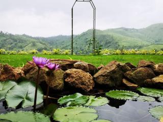 Idam Resort - Vagamon - 3