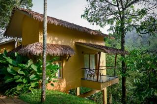 Maple Ash Resort - Vayittiri - 4