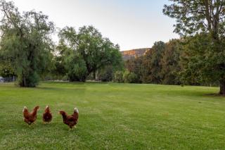 Glenoak Cottage - - 8