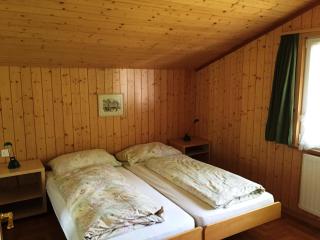 Alpen Chalet - Kandersteg - 3