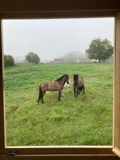 La Roulotte de Loïs & Clara - Arc-en-Barrois - 4