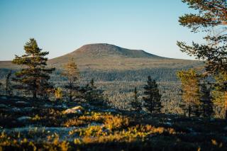 Idre Himmelfjäll Resort - Idre - 8