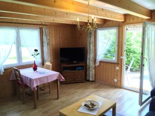 Alpen Chalet - Kandersteg - 1