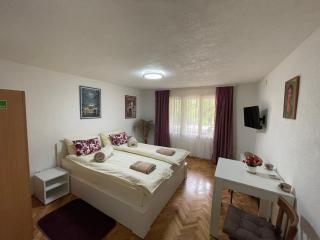 Apartmani Stanković Sokobanja - 4