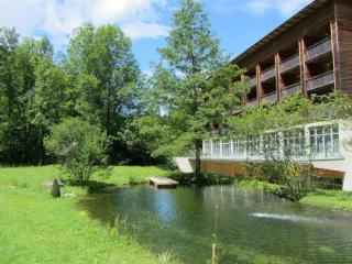 Hotel Bergkristall - Wildalpen - 2
