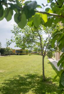Kellys house - Epanomi - 4